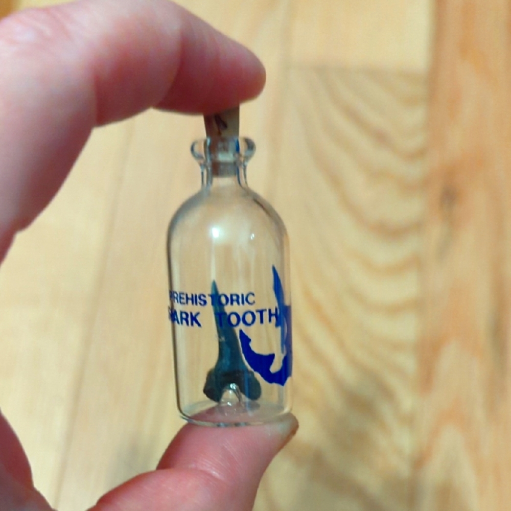 Mini Glass Bottle With Prehistoric Shark Tooth